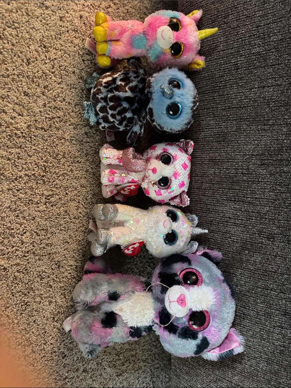 TY Beanie boo bundle